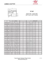 BSPT 남성 BSPT 여성