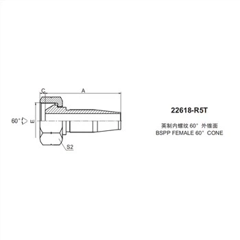 BSP 여성 60 ° 콘 22618-R5T